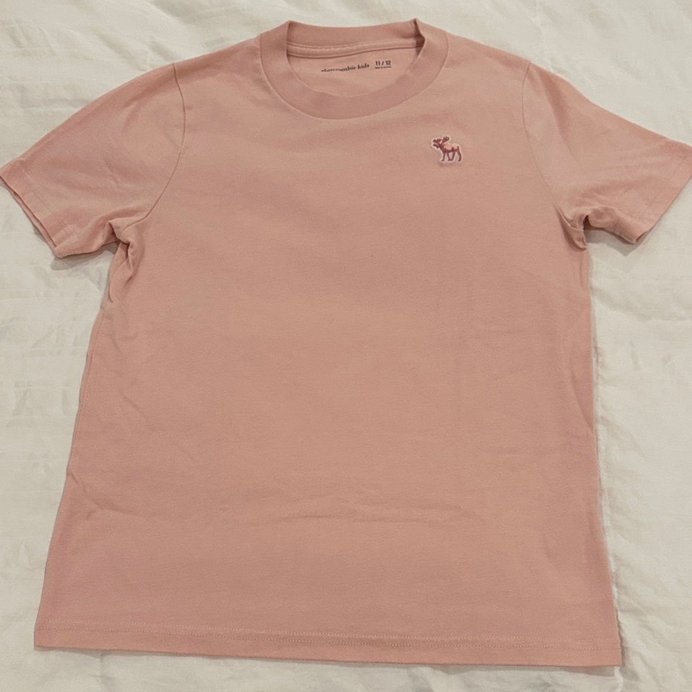 2 Abercrombie Kids Boys Short Sleeve Tees - light pink & light blue